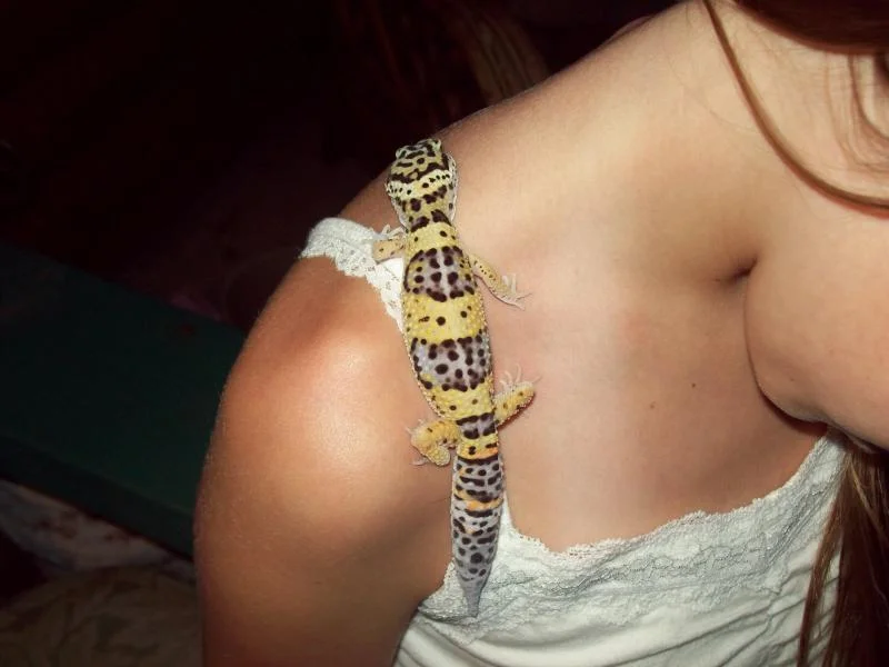100_1241.webp