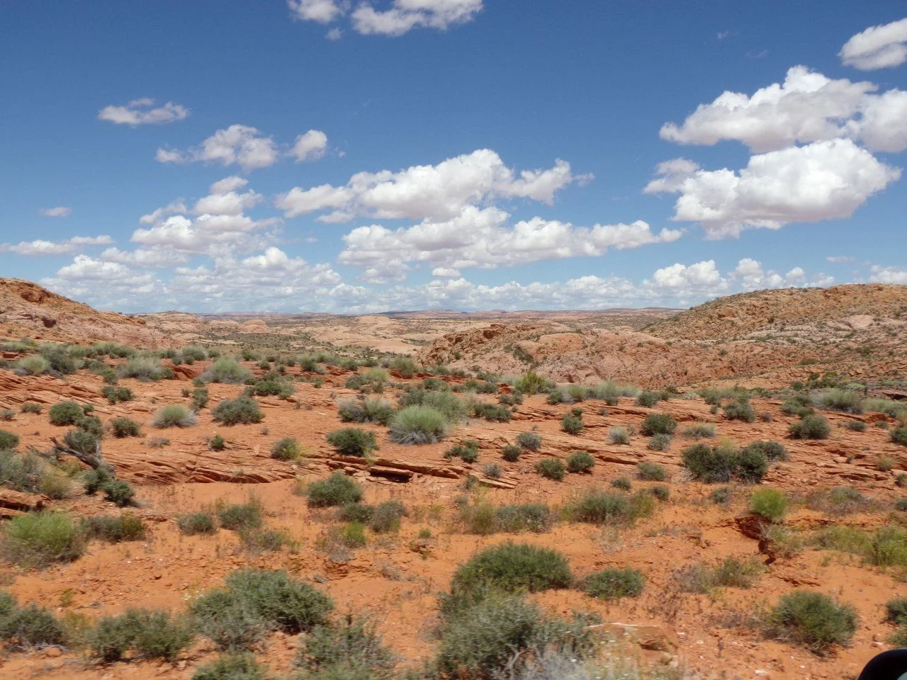 100_1449.webp