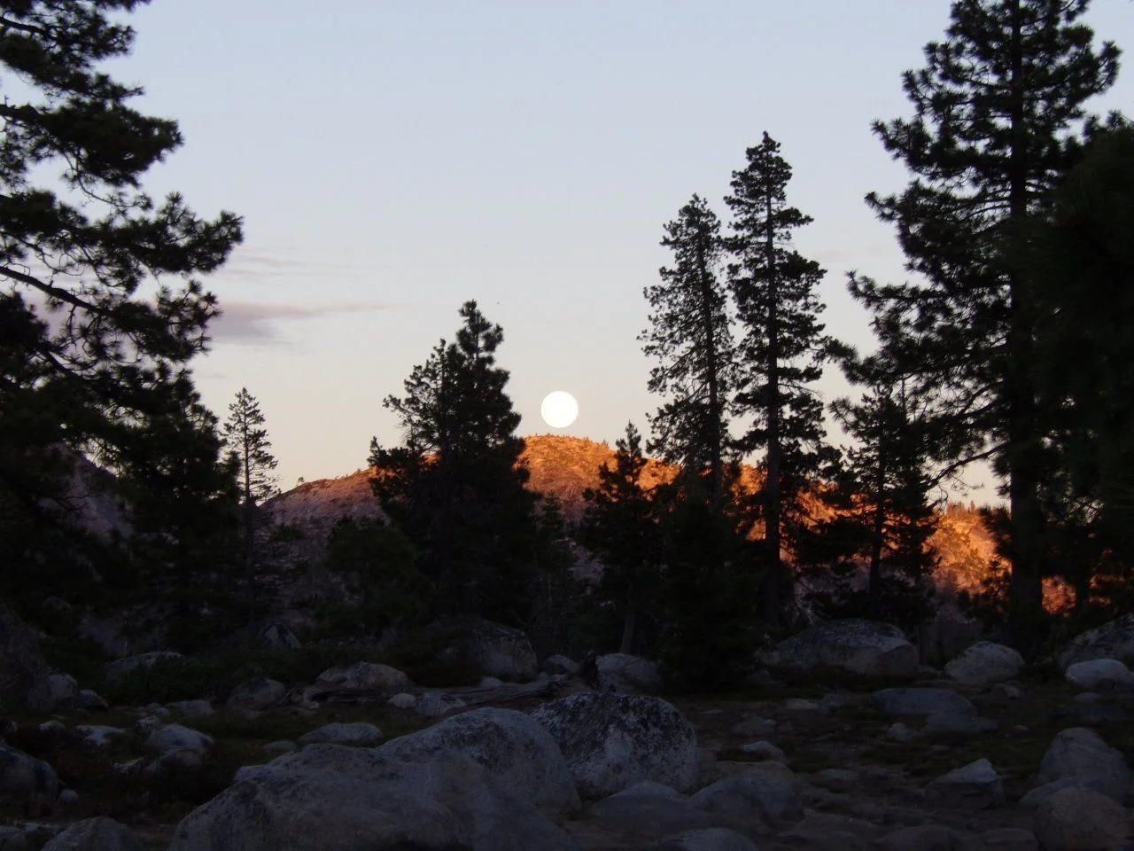 100_1565.webp