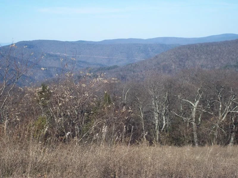 100_1681.webp