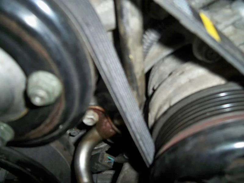 100_2095.webp