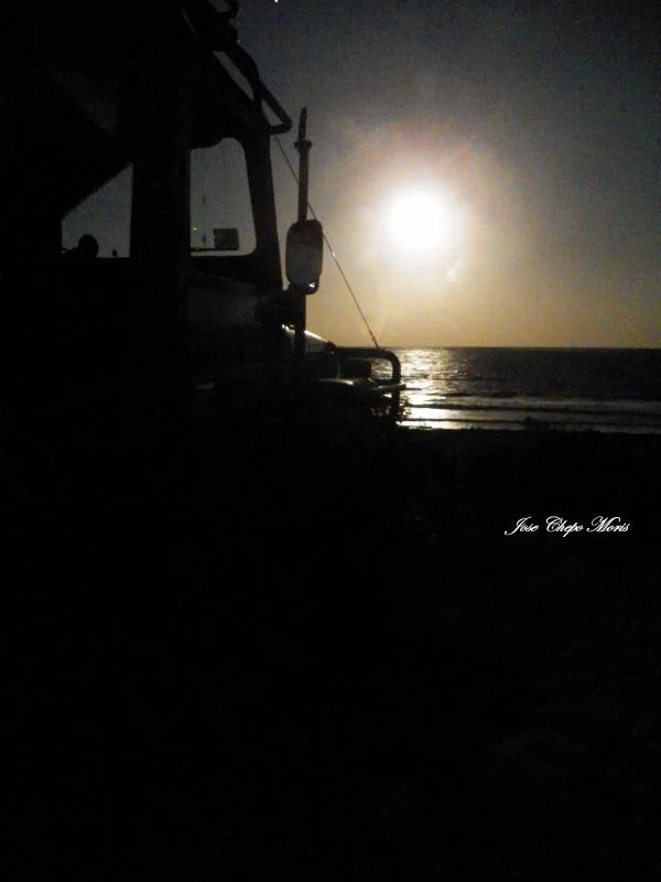 100_2427-1.webp