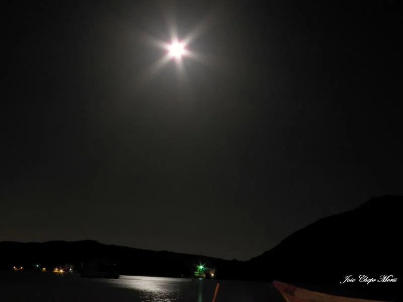 100_2478.webp