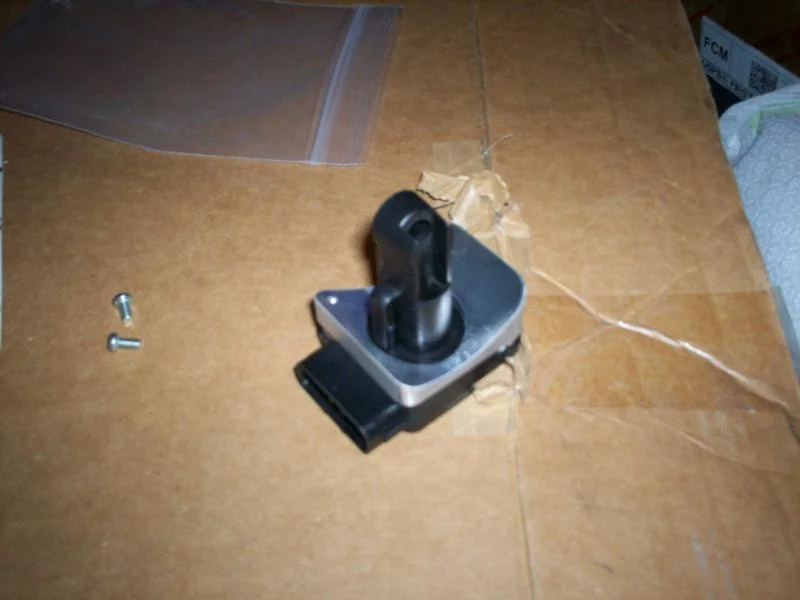 100_2545.webp
