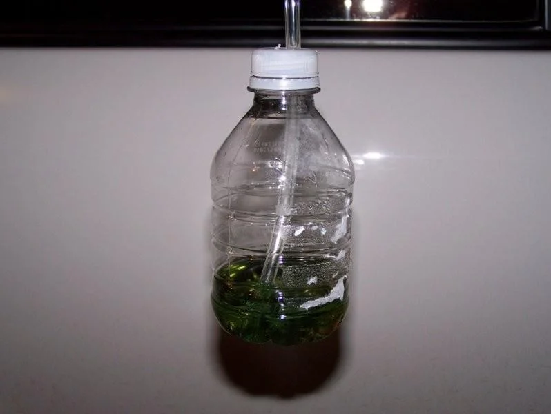 100_4348.webp