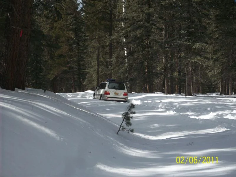 100_7206.webp