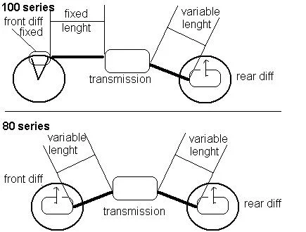 100_80 layout.webp