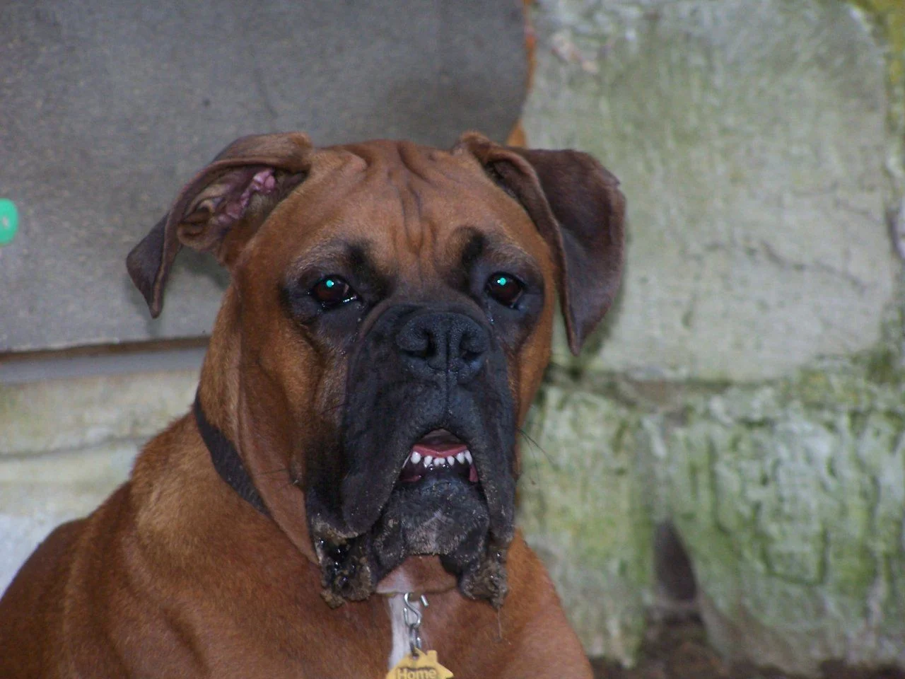 100_8496.webp