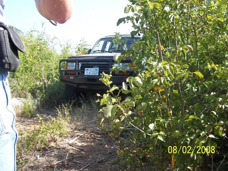 100_9612.webp