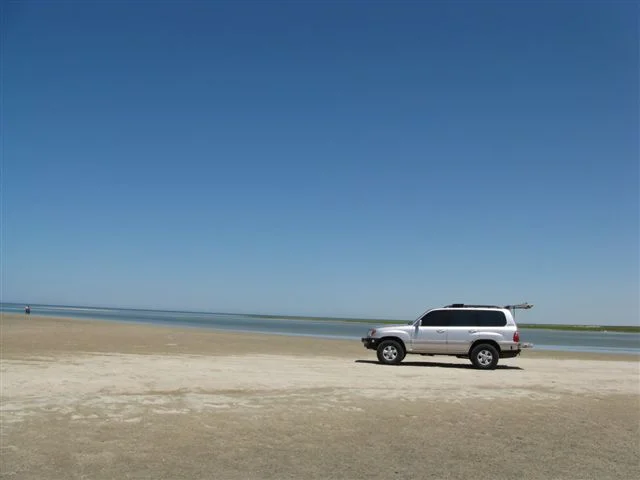 100seaofcortez.webp