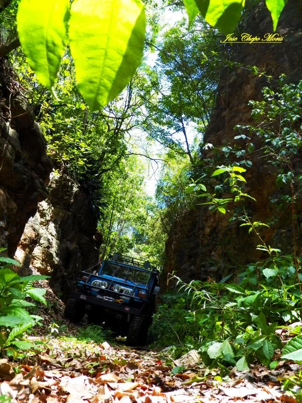 101_0008.webp