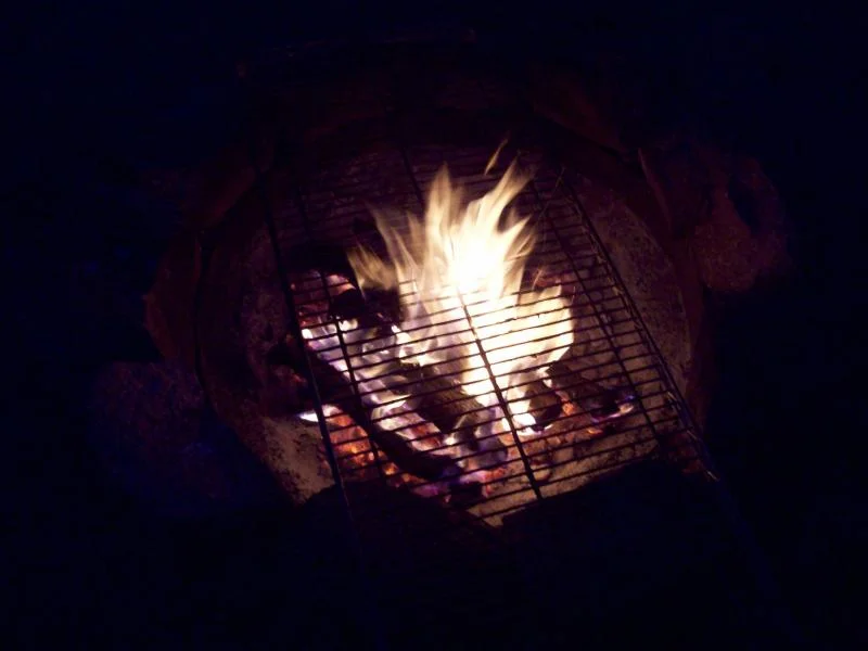 101_0203.webp