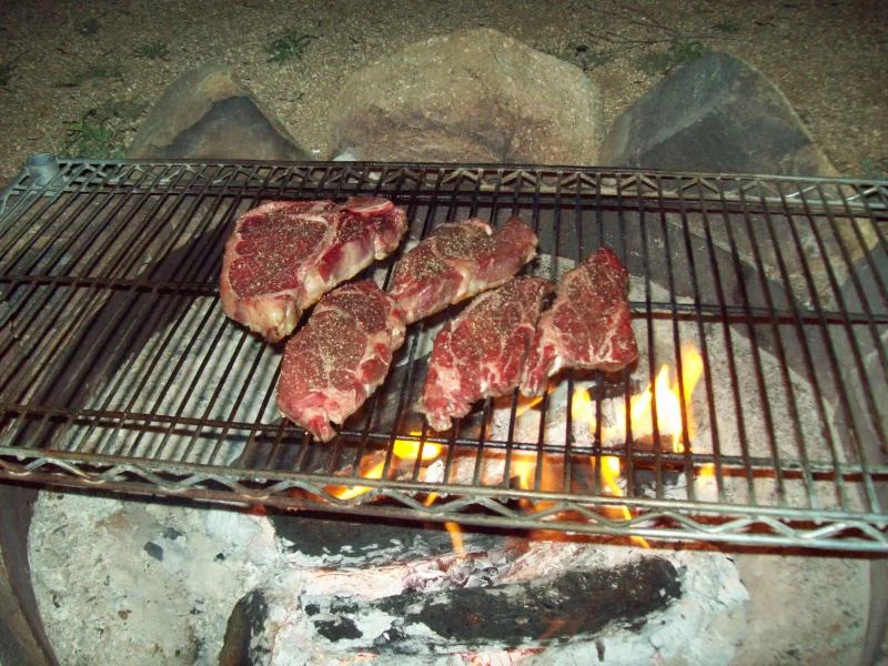 101_0206.webp