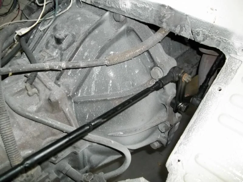 101_0345.webp
