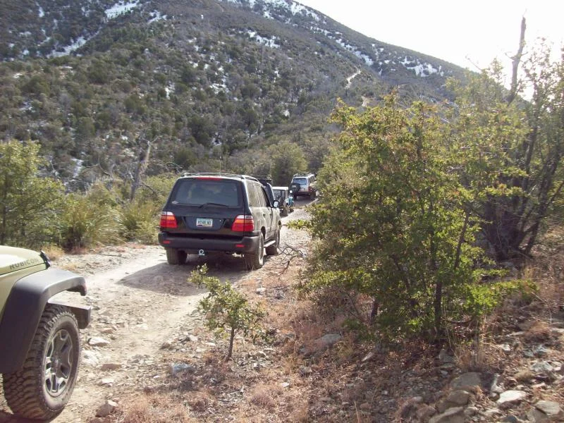 101_1354.webp
