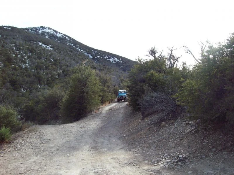 101_1357.webp