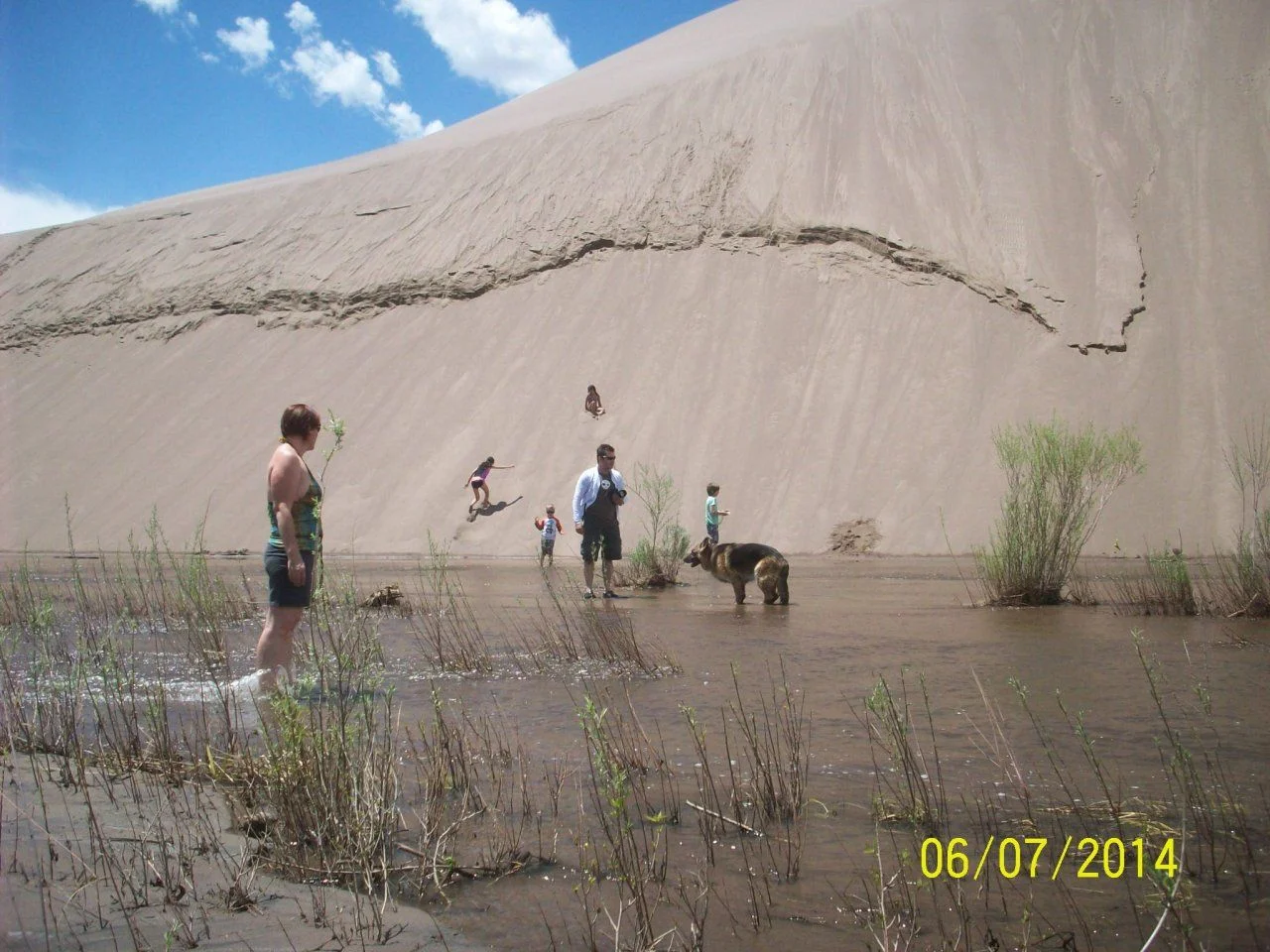 102_5875.webp