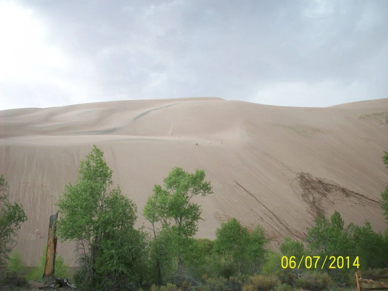 102_5884.webp