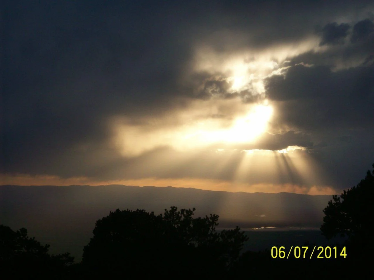 102_5896.webp
