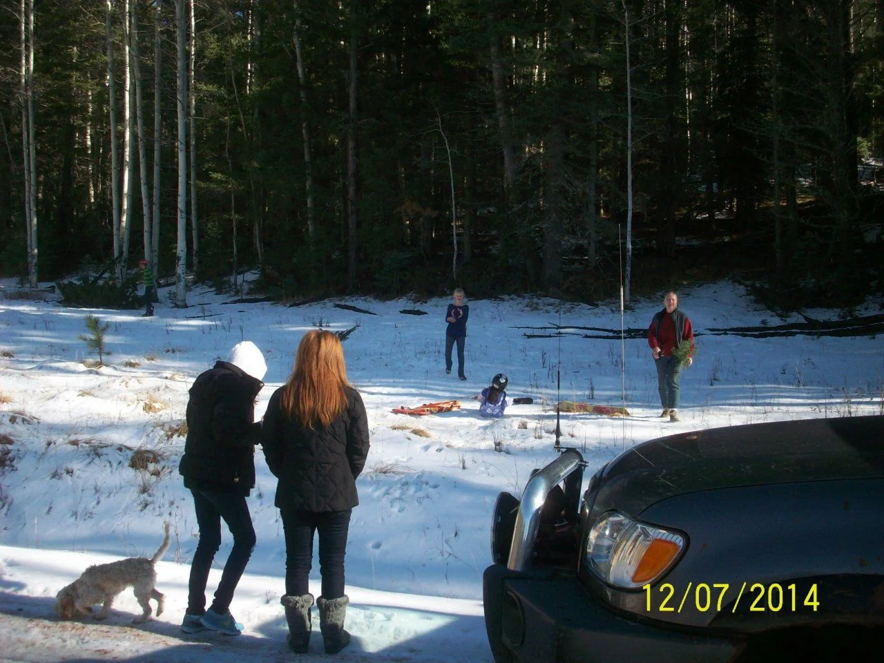 102_6196.webp