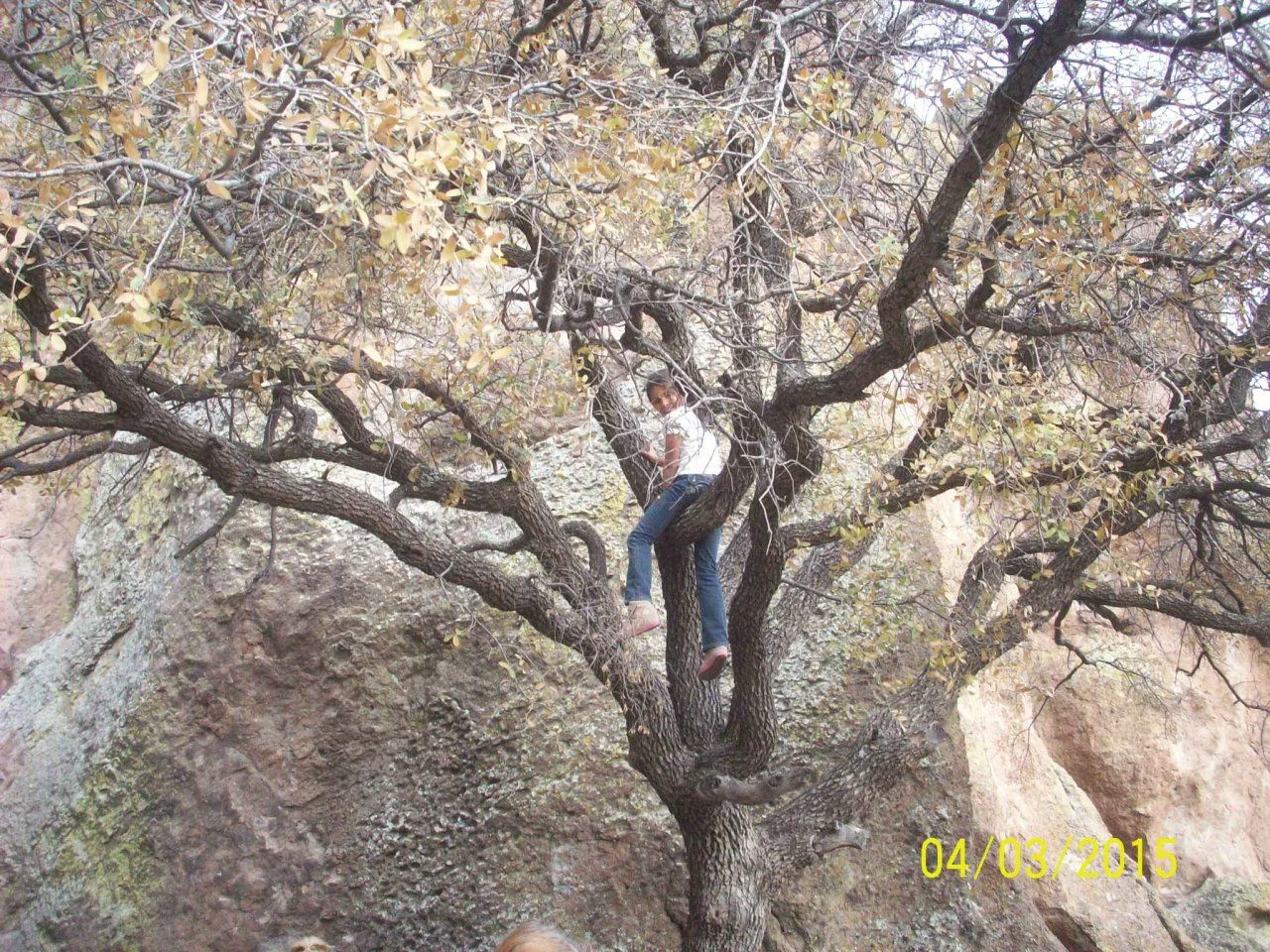 102_6581.webp