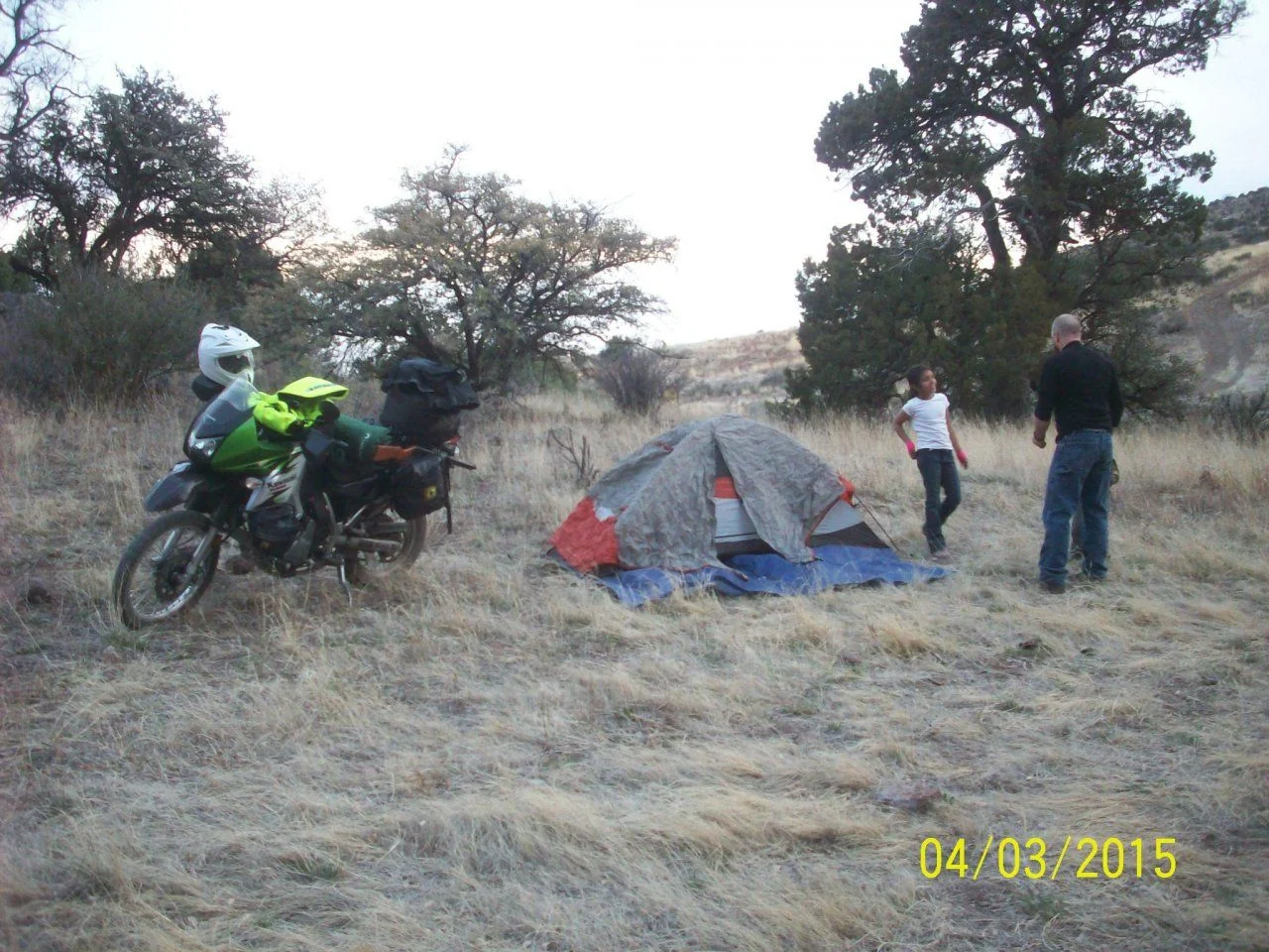 102_6587.webp