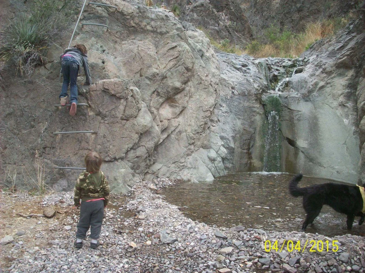 102_6605.webp