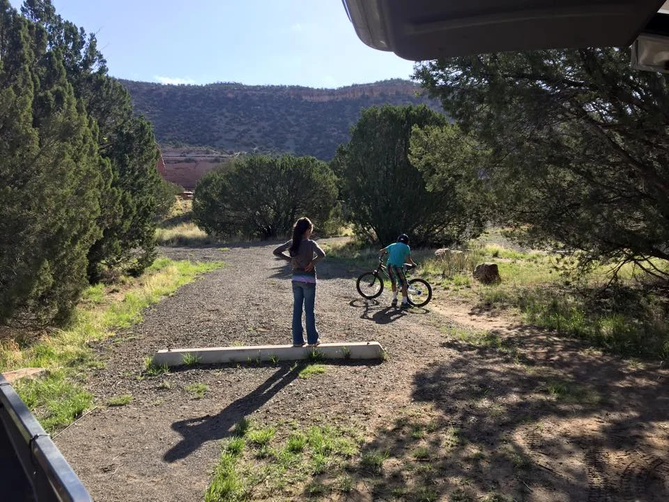 10628544_10206421877693850_1743071960764364645_n.webp