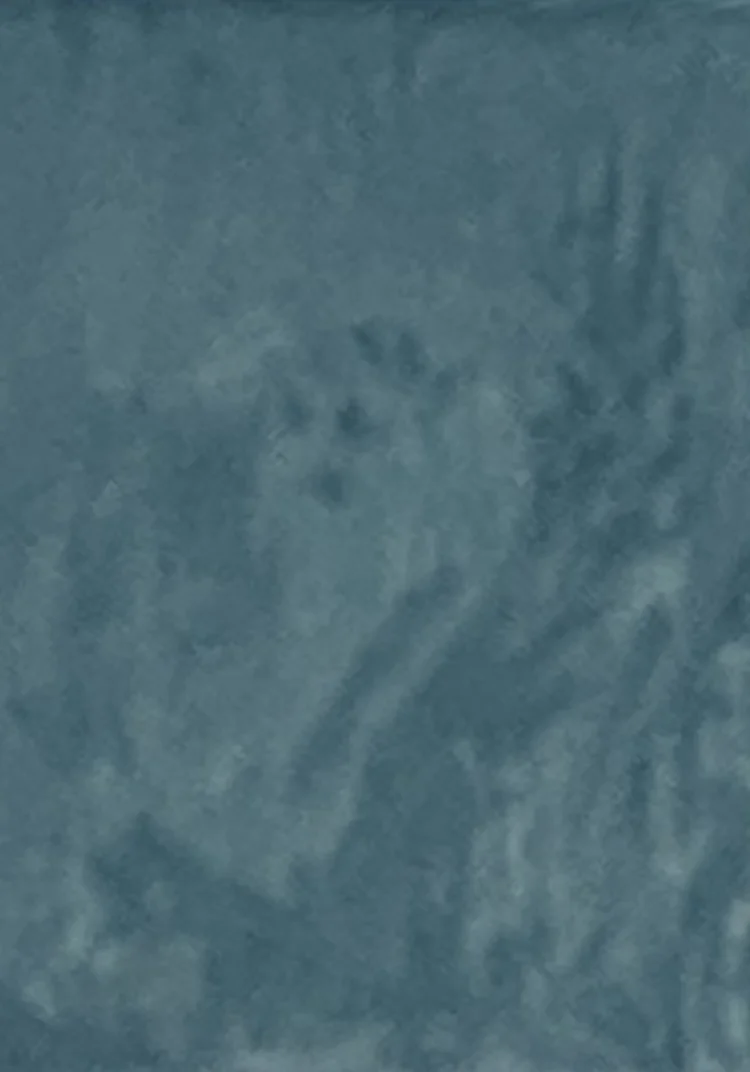 1063D235-ABEA-4222-B245-C71B493429A7.jpeg