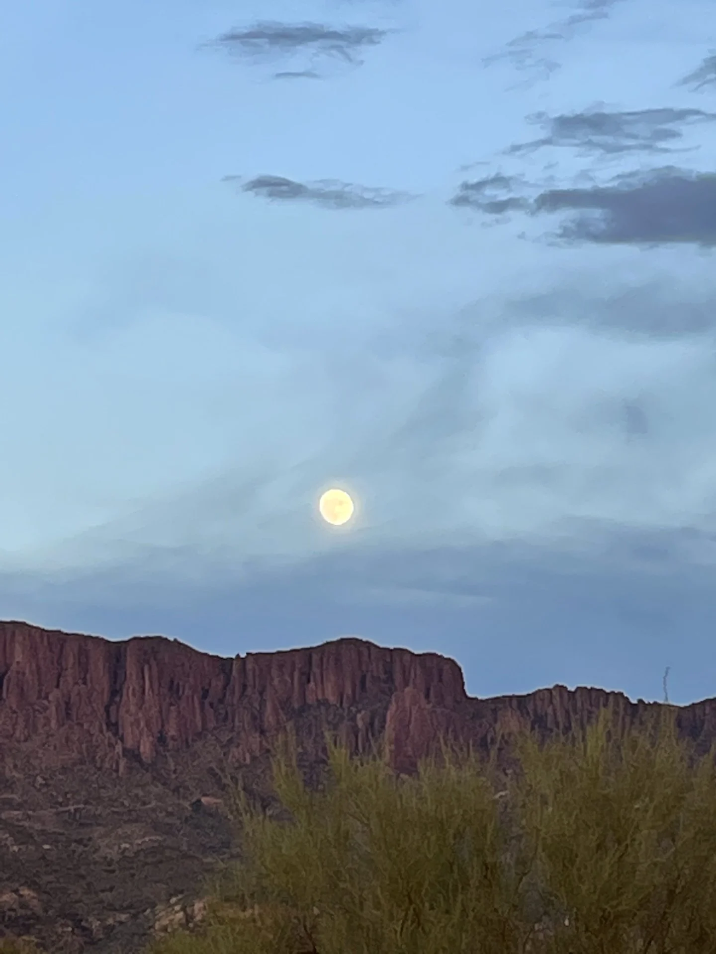 108165F5-AB30-437F-87AD-B18634489934.webp
