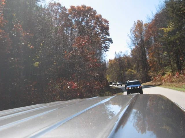 11-10-2008 003.webp