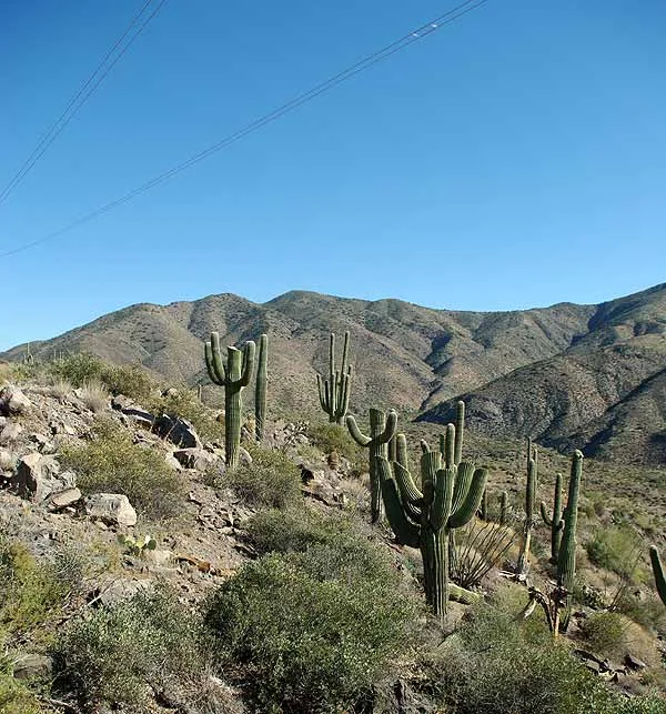 11-27-2009_11.webp