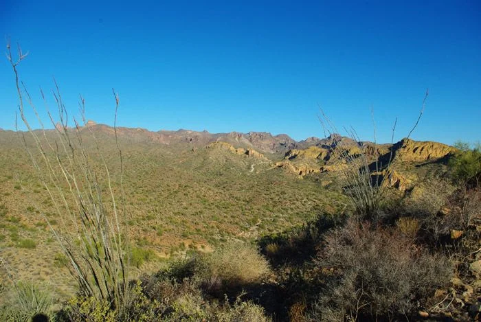 11-27-2010_10.webp