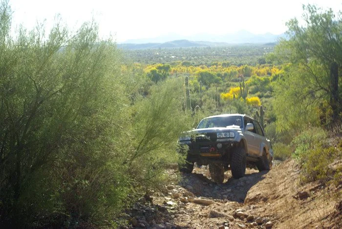 11-27-2011_16.webp