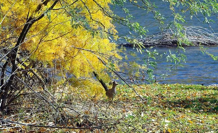 11-27-2011_3.webp