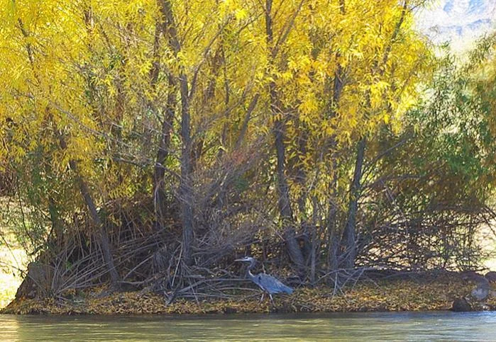 11-27-2011_4.webp