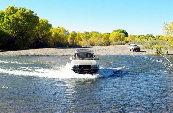 11-27-2011_9.webp