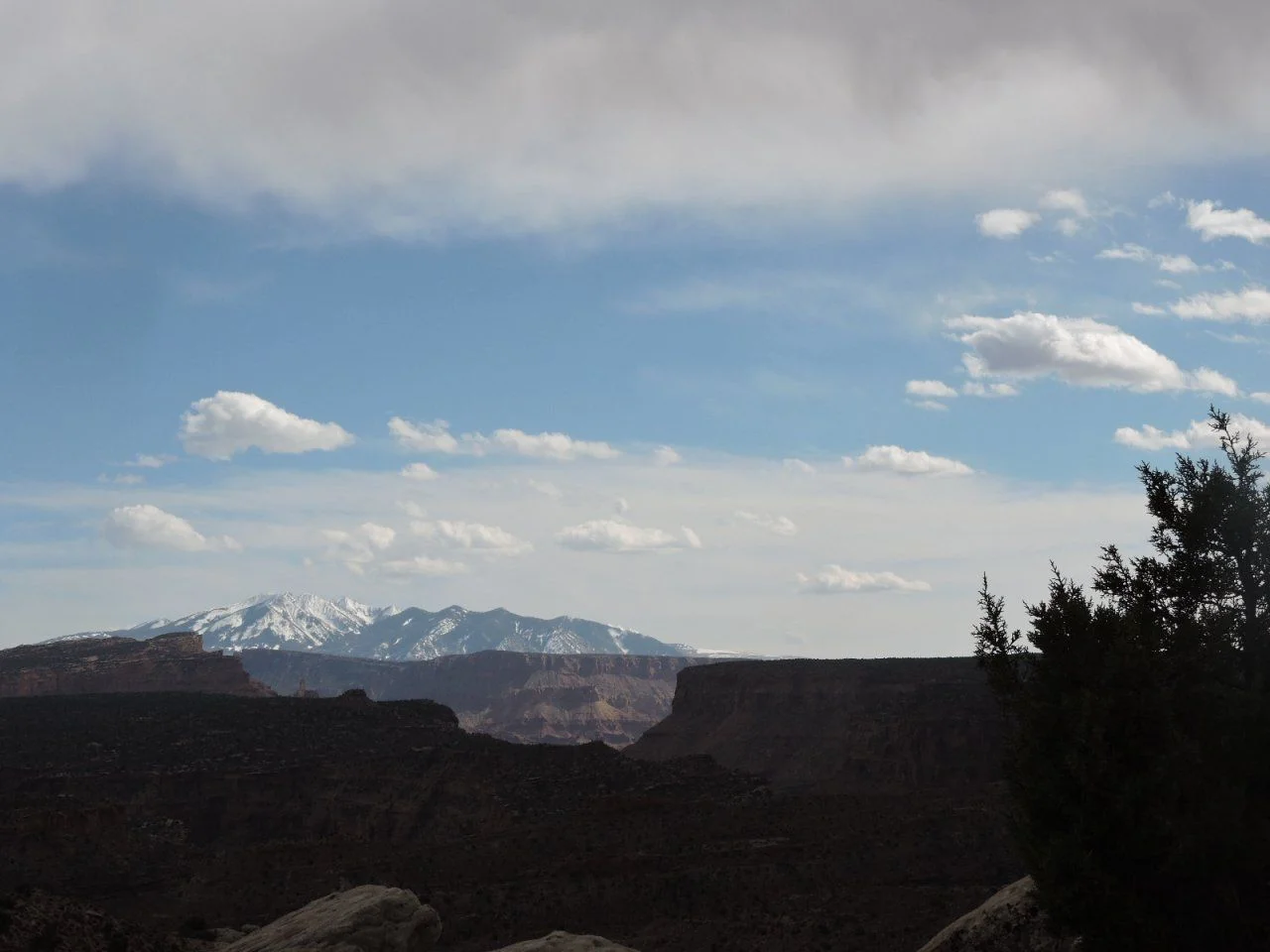 1137.webp