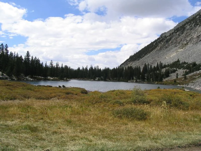117_1778a.webp