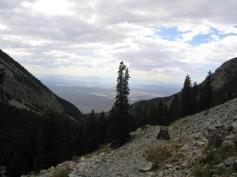 117_1784a.webp