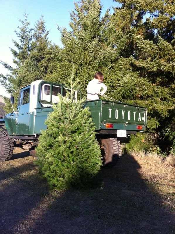 12-12 -11 085.webp