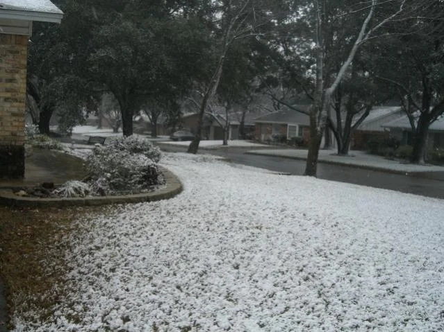 12-24-09 3.webp