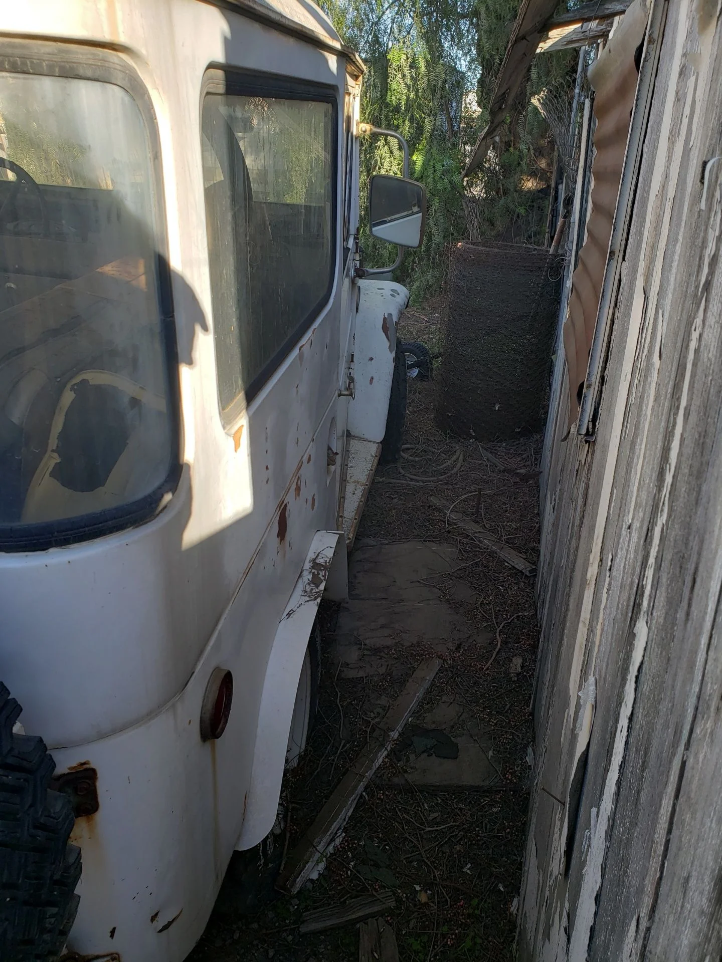 123_1(2).webp