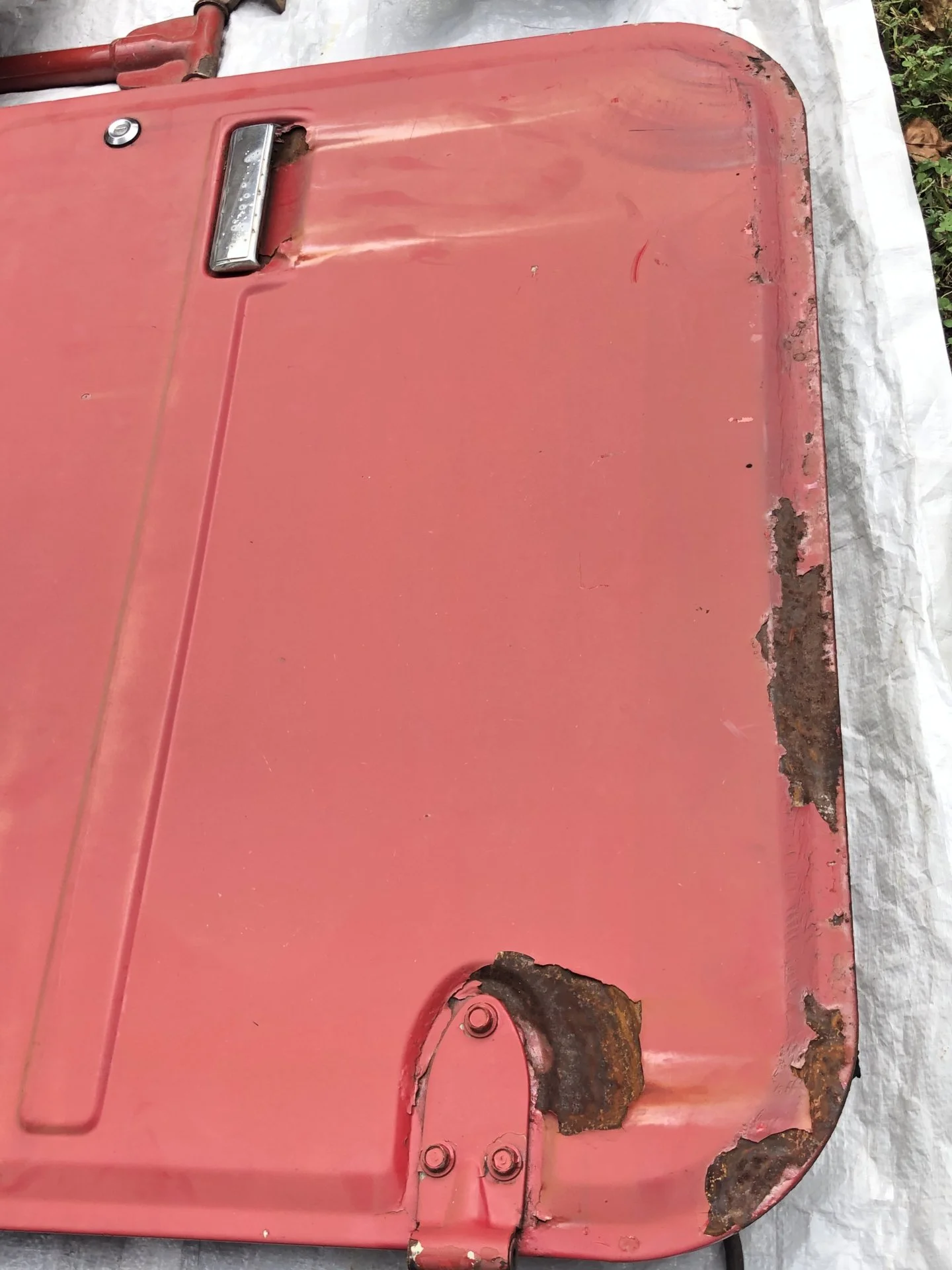1281DFFD-4289-40F2-AAA2-4EC7BB8AC774.webp