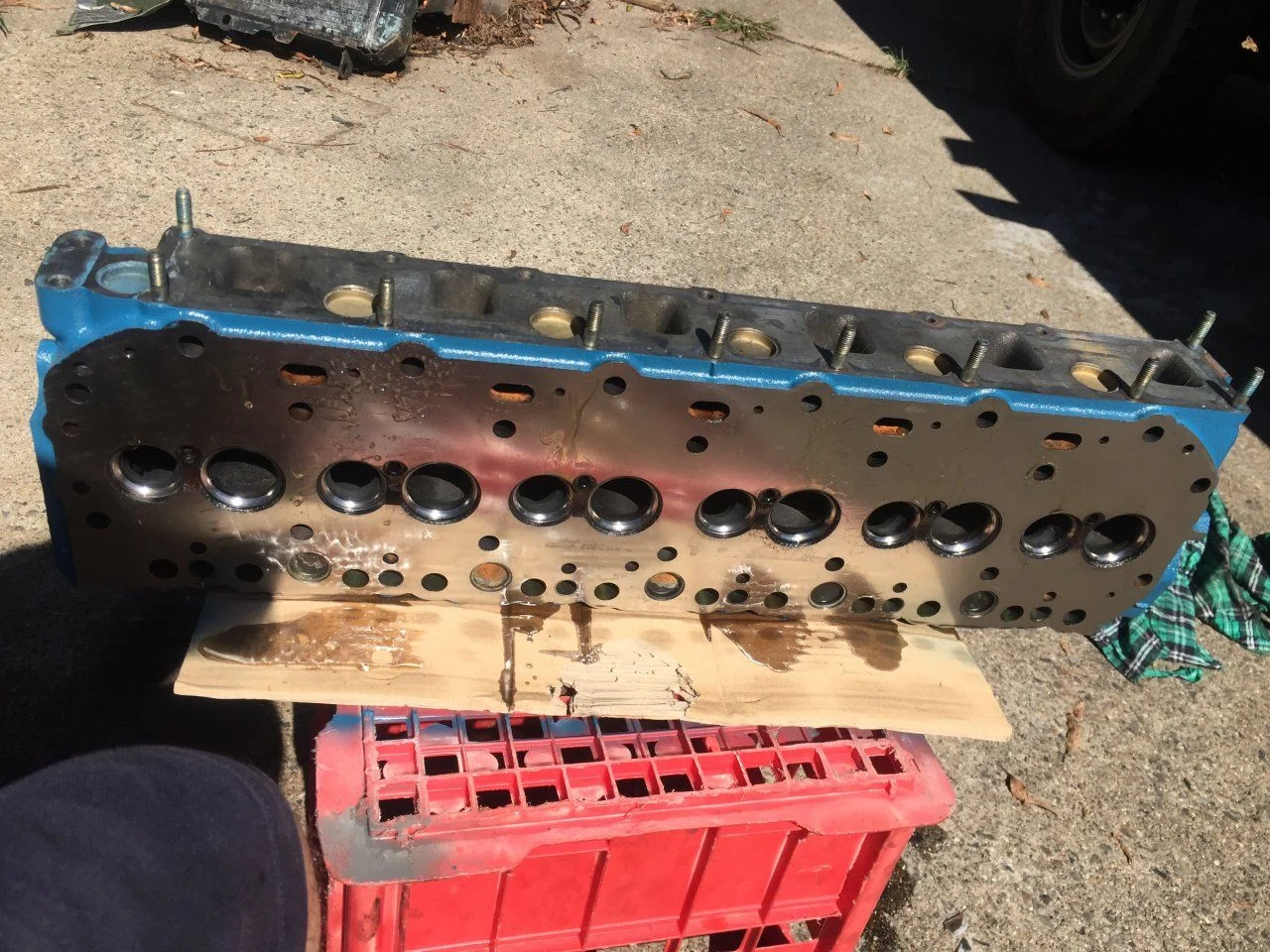 12ht head 004.webp
