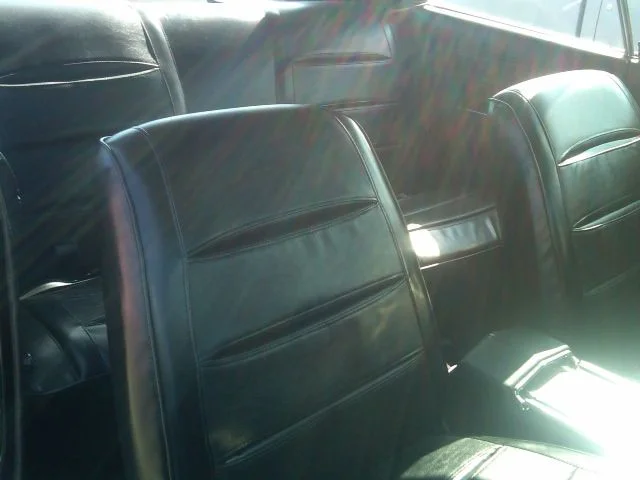 13 image.webp