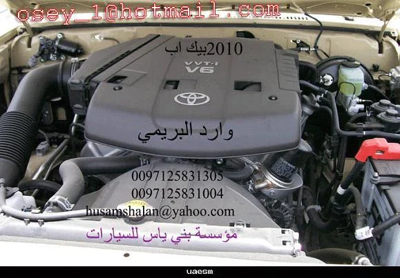 133.webp