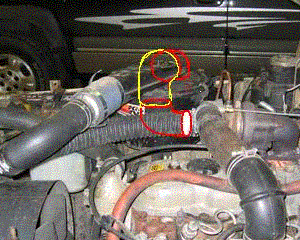 134_3442.GIF