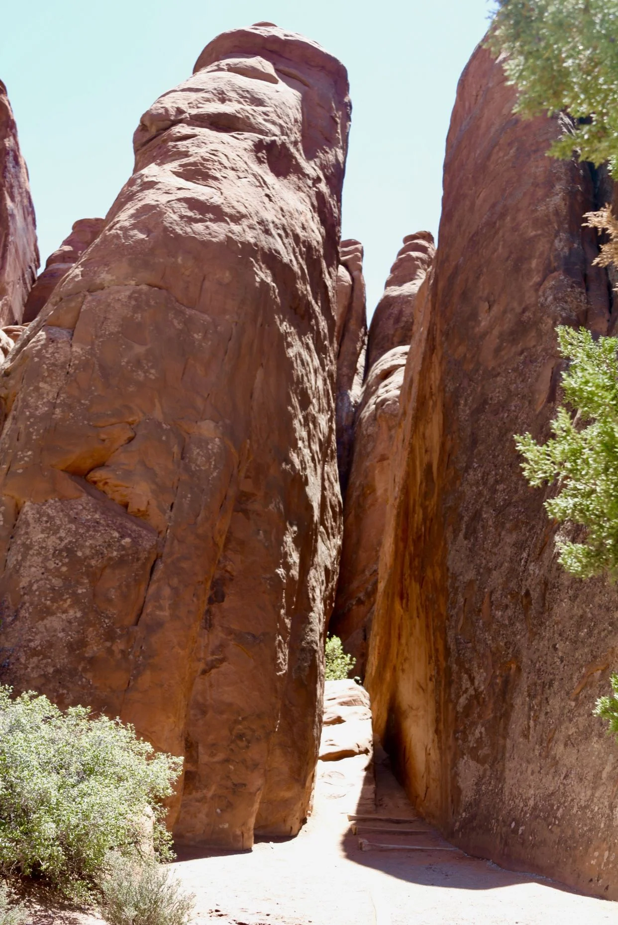 148131C0-C484-4AC8-AA09-1C5124971E99.webp