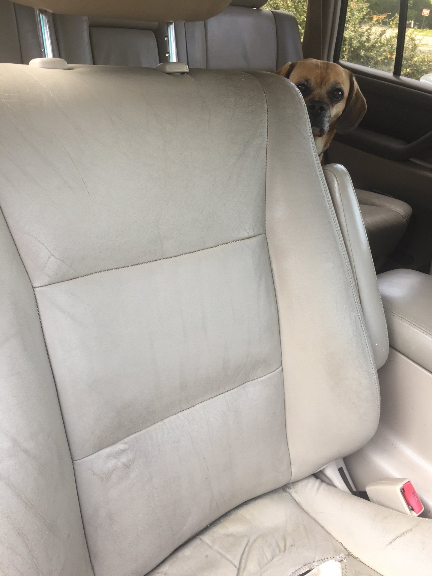 Seat Covers Bottom Cushion Only Ih8mud Forum